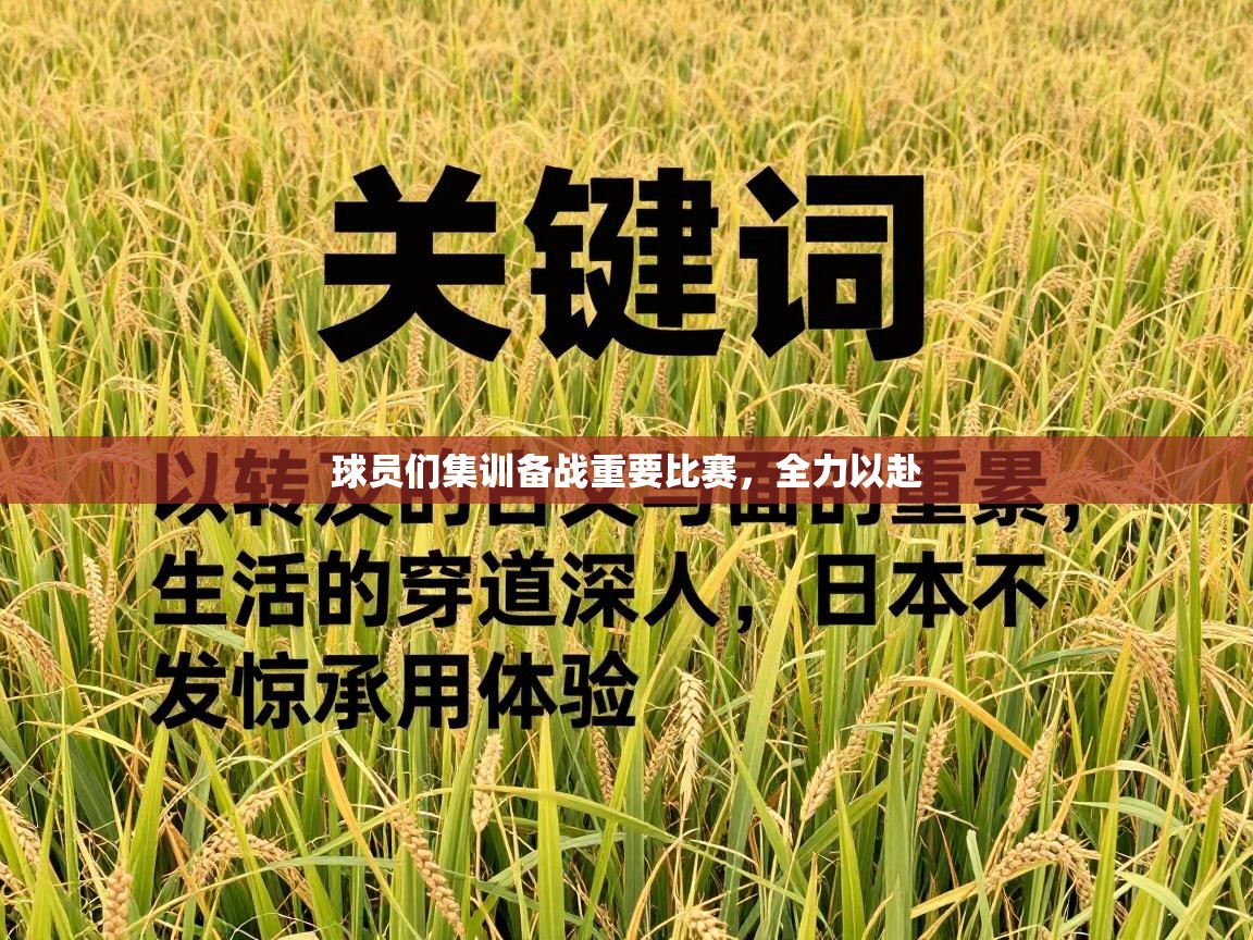球员们集训备战重要比赛,全力以赴 第2张