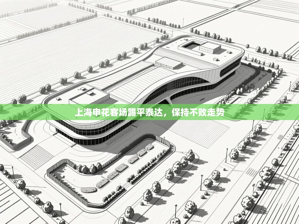 上海申花客场踢平泰达，保持不败走势  第1张