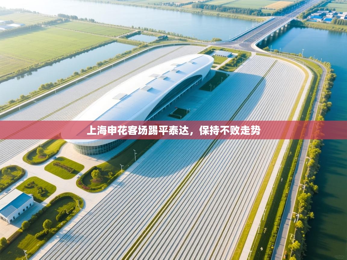 上海申花客场踢平泰达，保持不败走势  第2张