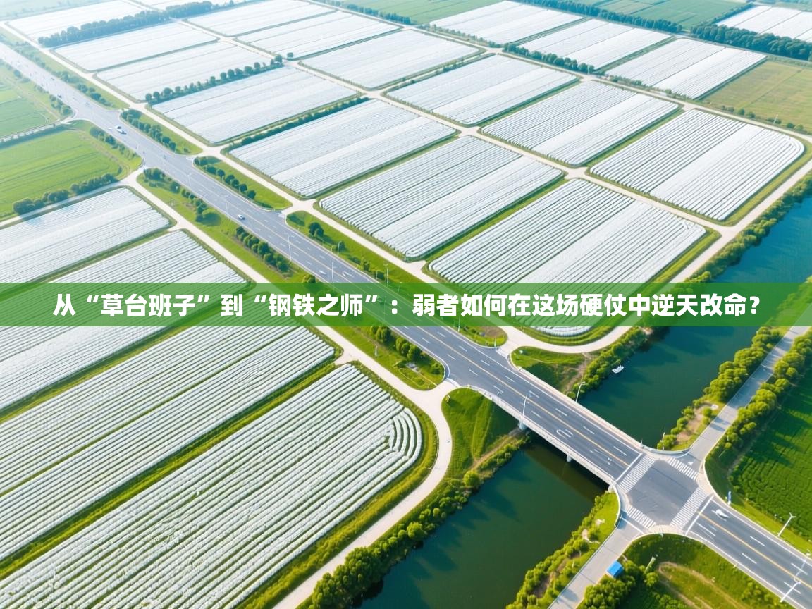 从“草台班子”到“钢铁之师”：弱者如何在这场硬仗中逆天改命？  第2张