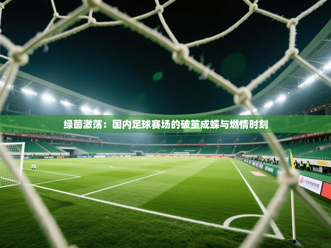 绿茵激荡:国内足球赛场的破茧成蝶与燃情时刻 第1张