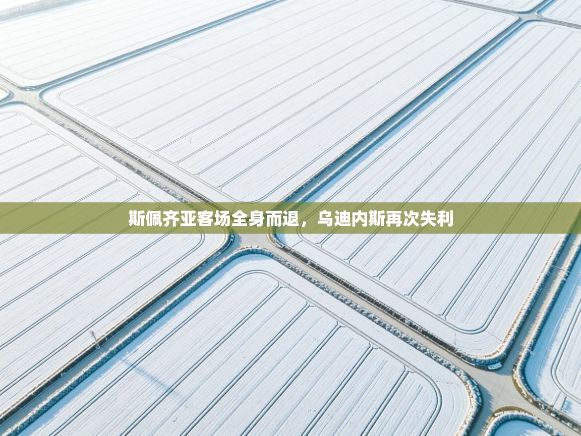 斯佩齐亚客场全身而退,乌迪内斯再次失利 第2张